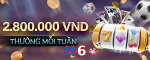 tt6