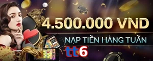 tt6