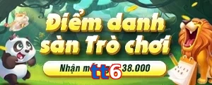 tt6