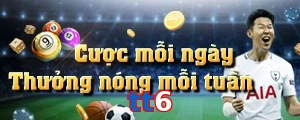 tt6